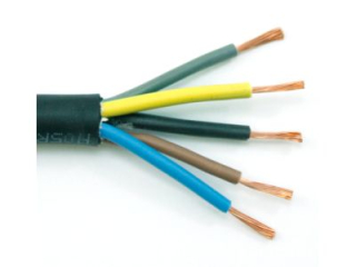CGSG 5Cx1